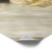 ひげかわいらしつき竜 ポスター (角)