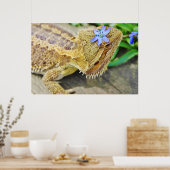 ひげかわいらしつき竜 ポスター (キッチン)