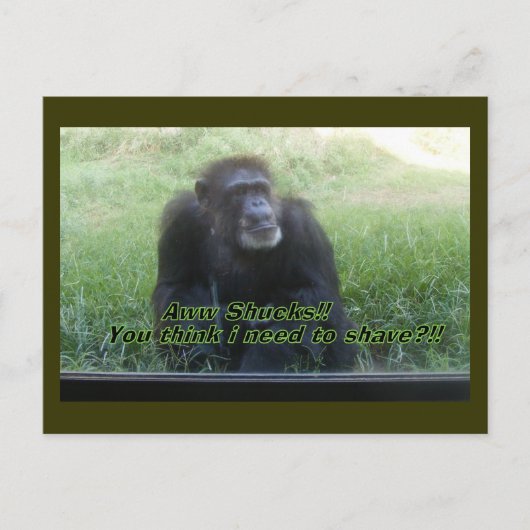 ひげそりを剃らなくちゃ?? ポストカード (正面)