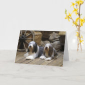 ひげのあるコリー カード (黄色い花)