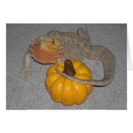 ひげのドラゴンのウィルソン