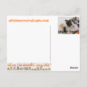 ひげの子ネコのおもちゃ猫の郵便はがき ポストカード (裏面)