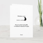 ひげの子犬- KMPカード19 カード (裏面)