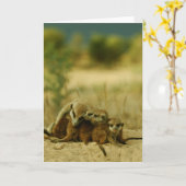 ひげの子犬- KMPカード19 カード (黄色い花)