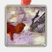 ひげの生えたドラゴンの平和を地球に引き付ける