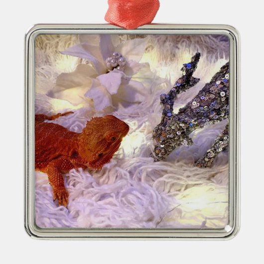 ひげの生えたドラゴンの平和を地球に引き付ける メタルオーナメント (正面)