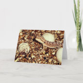 ひげの生えた竜 カード (正面)