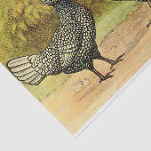 ひげを生やしたシルバーポーランドヘンアンドルースターヴィンテージファーム 薄葉紙 (詳細)