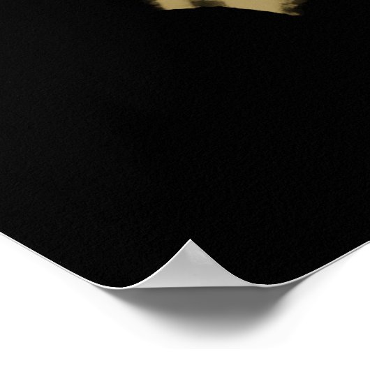 ひげを生やしたハゲワシ ポスター (角)