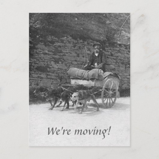 ひげを生やした男が動いている犬のカート 案内ポストカード (正面)