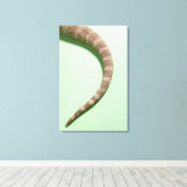 ひげを生やした竜の尾 キャンバスプリント (インサイチュ (ウッドフロア))