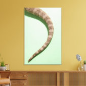 ひげを生やした竜の尾 キャンバスプリント (インサイチュ (リビング))