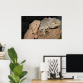 ひげを生やした竜 ポスター (ホームオフィス)