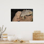 ひげを生やした竜 ポスター (キッチン)