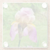 ひげを生やした虹彩 ガラスコースター (裏面)