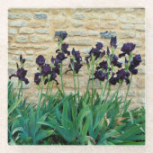 ひげを生やした虹彩 ガラスコースター (正面)