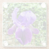 ひげを生やした虹彩 ガラスコースター (裏面)