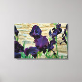 ひげを生やした虹彩 キャンバスプリント (正面)