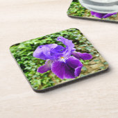 ひげを生やした虹彩 コースター (左側)