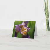 ひげを生やした虹彩 サンキューカード (正面)