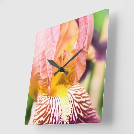 ひげを生やした虹彩 スクエア壁時計 (傾斜)