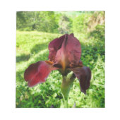 ひげを生やした虹彩 ノートパッド (正面)