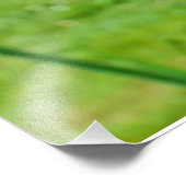 ひげを生やした虹彩 フォトプリント            (角)