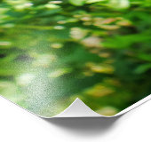 ひげを生やした虹彩 フォトプリント            (角)