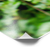 ひげを生やした虹彩 フォトプリント            (角)