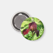 ひげを生やした虹彩 マグネット (正面/裏面)