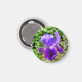 ひげを生やした虹彩 マグネット (正面/裏面)