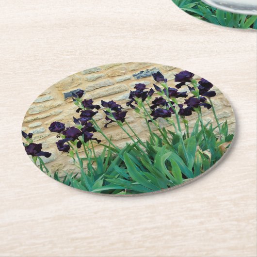 ひげを生やした虹彩 ラウンドペーパーコースター (アングル)