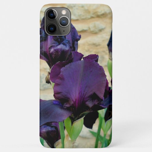 ひげを生やした虹彩 Case-Mate iPhoneケース (裏面)