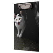 ひげを生やした野良猫 クリップボード (左)