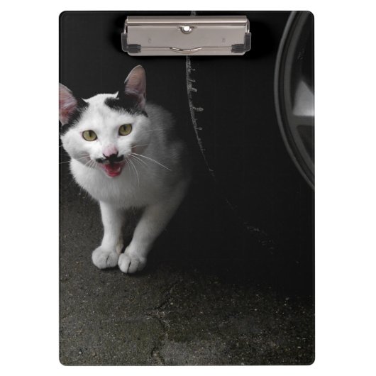 ひげを生やした野良猫 クリップボード (正面)
