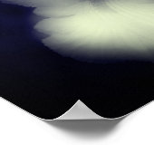 ひげアイリスブラックとホワイトハイコントラスト ポスター (角)