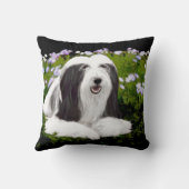 ひげコリー絵画ズ – かわいいオリジナルドッグアート クッション (裏面)