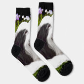 ひげコリー絵画ズ – かわいいオリジナルドッグアート ソックス (右)