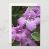 ひげパープルセージサンキューカード サンキューカード (正面/裏面)