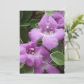 ひげパープルセージサンキューカード サンキューカード (スタンド正面)