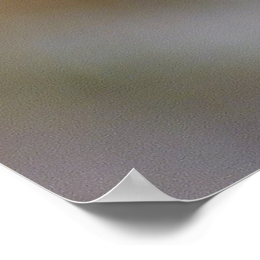 ひげヘロン ポスター (角)