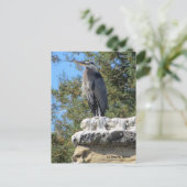 ひげヘロン ポストカード (スタンド正面)