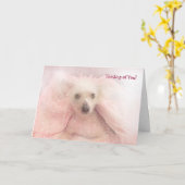 ひげ中国のつき毛抜き カード (黄色い花)