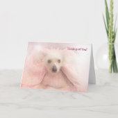 ひげ中国のつき毛抜き カード (正面)