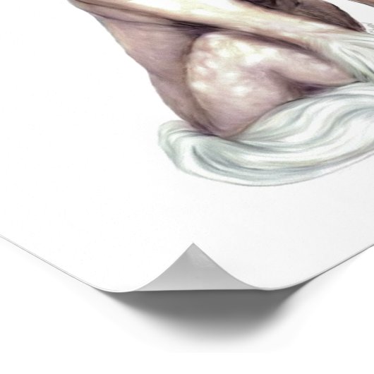 ひげ中国のひげ ポスター (角)