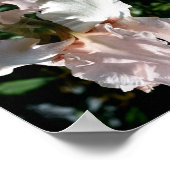 ひげ付きアイリスフラワーアップクローズ抽象芸術 ポスター (角)