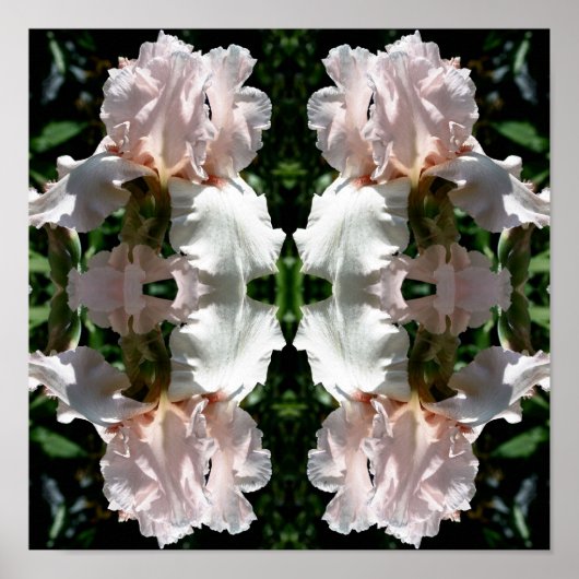 ひげ付きアイリスフラワーアップクローズ抽象芸術 ポスター (正面)