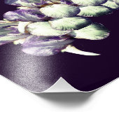 ひげ付きアイリスフラワーブーケ8x10 フォトプリント            (角)