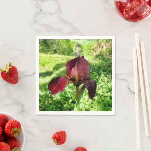 ひげ付きアイリス紙ナプキンス スタンダードカクテルナプキン (インサイチュ)