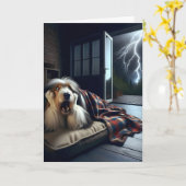 ひげ付きコリーを取得する古い誕生日ユーモア カード (黄色い花)